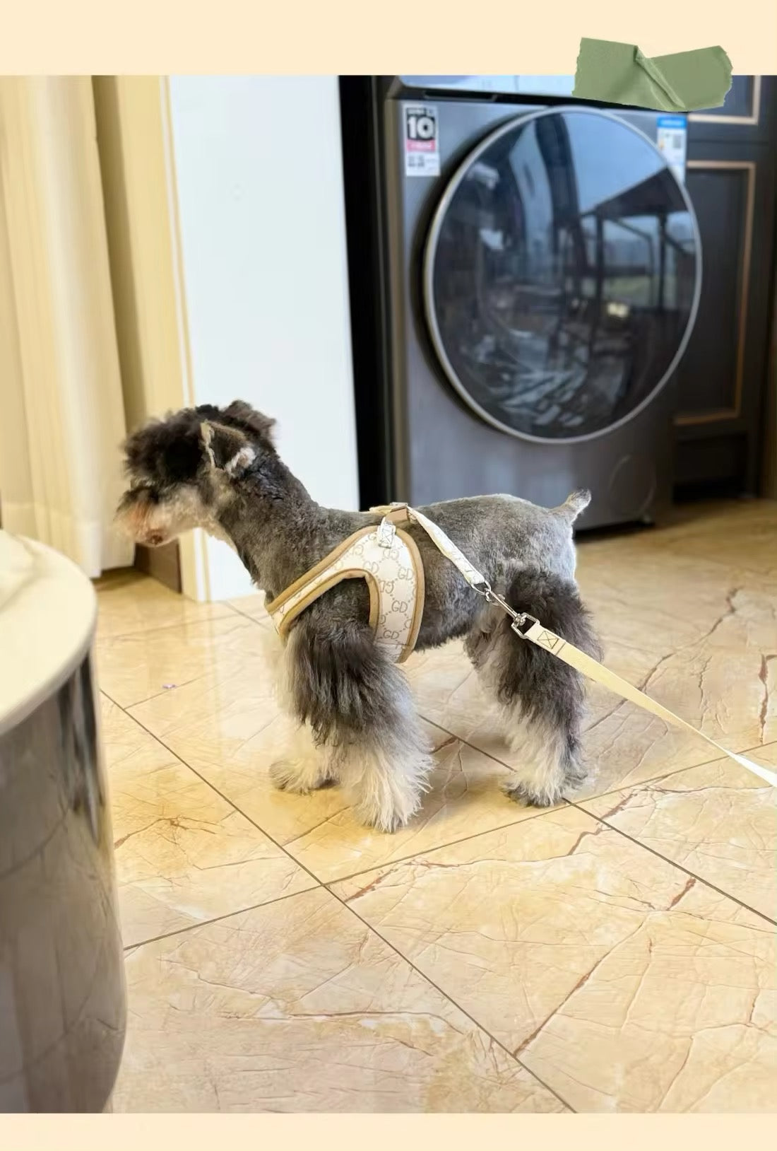 Gigi Dog Harness & Leash Set | Comfortable Dog Walking Set
