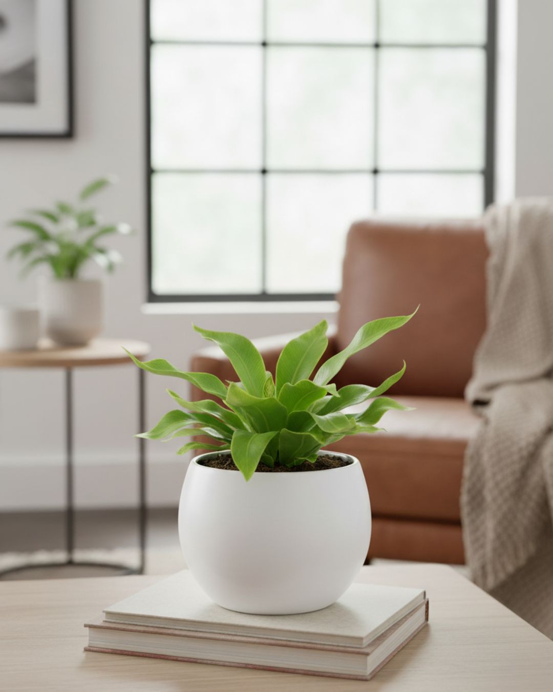 Cobra Fern