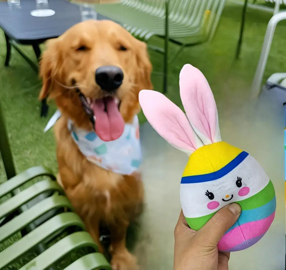 Easter Egg Toy – Plush Bunny Ear Dog Toy