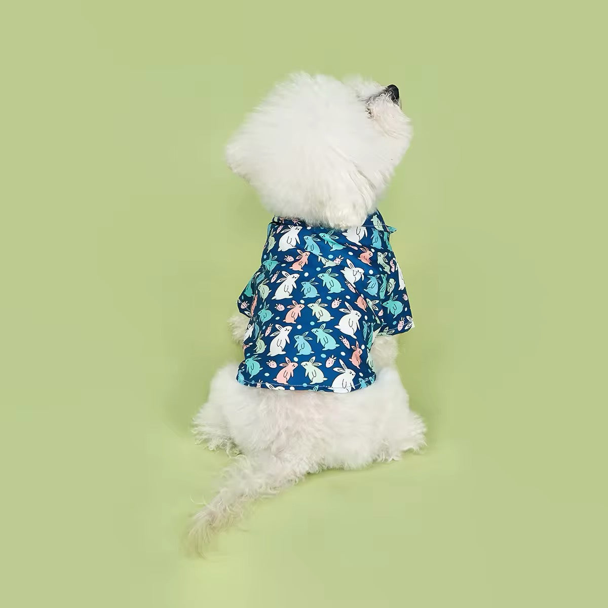 Easter Bunny Shirt – Festive Luxury Dog Shirt