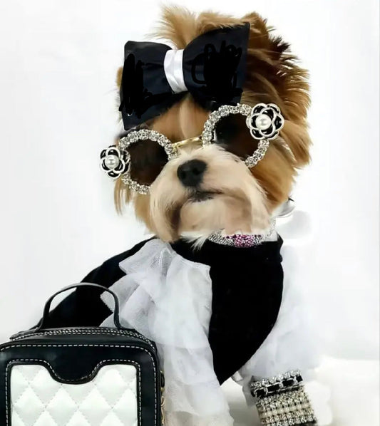 Coco Dress & Bow Set | Designer Dog Dress & Matching Bow