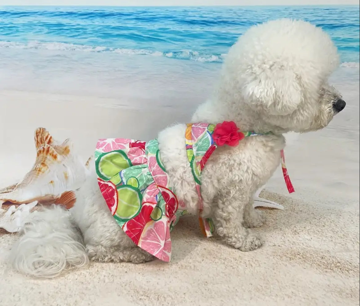 Citrusy Dog Swimwear | Fruit Print Dog Swim Outfit