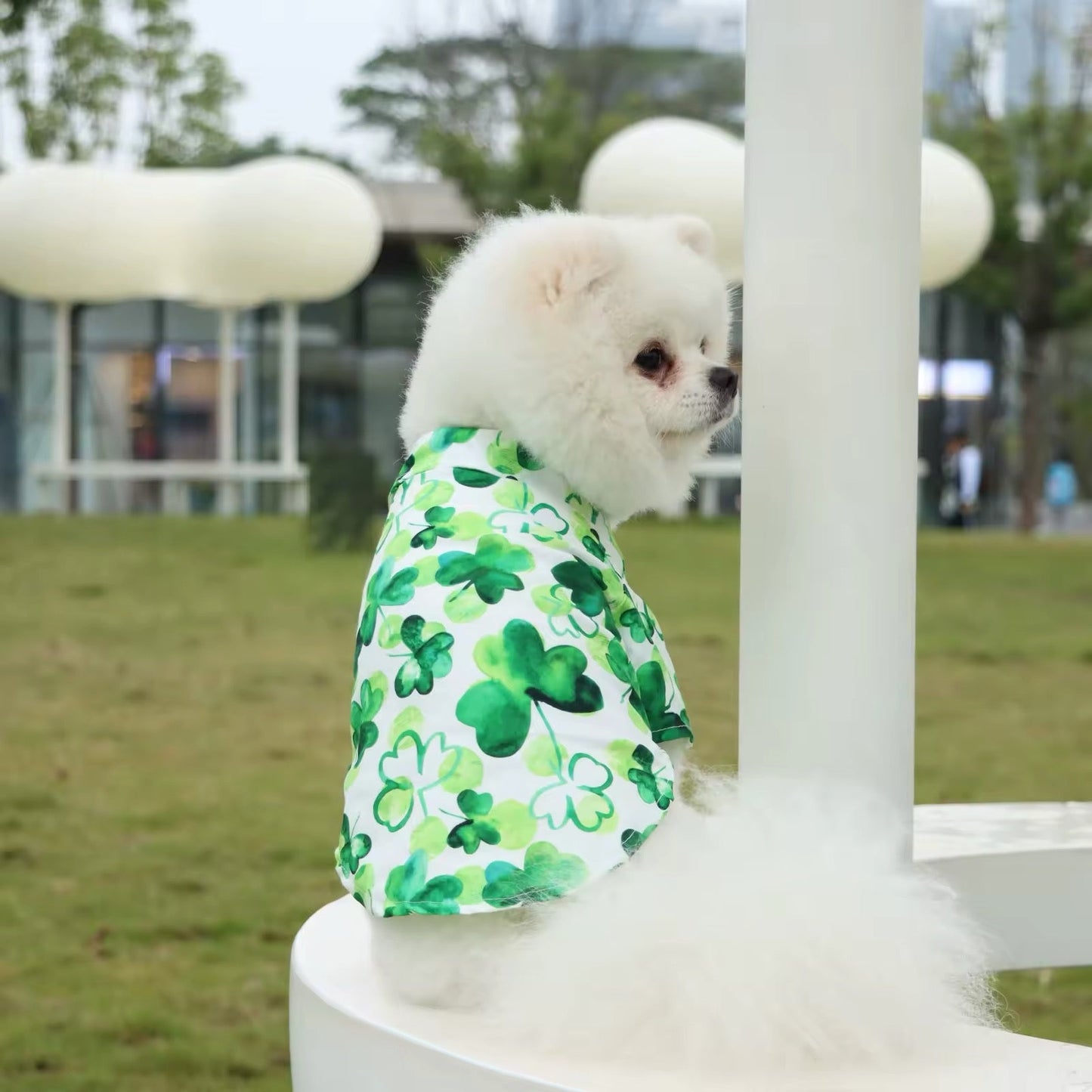 Saint Patrick’s Day Dog Shirt – Festive Holiday Pet Tee