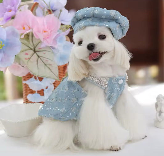 Cindirella Dress & Hat Set – Luxury Fantasy Dog Outfit