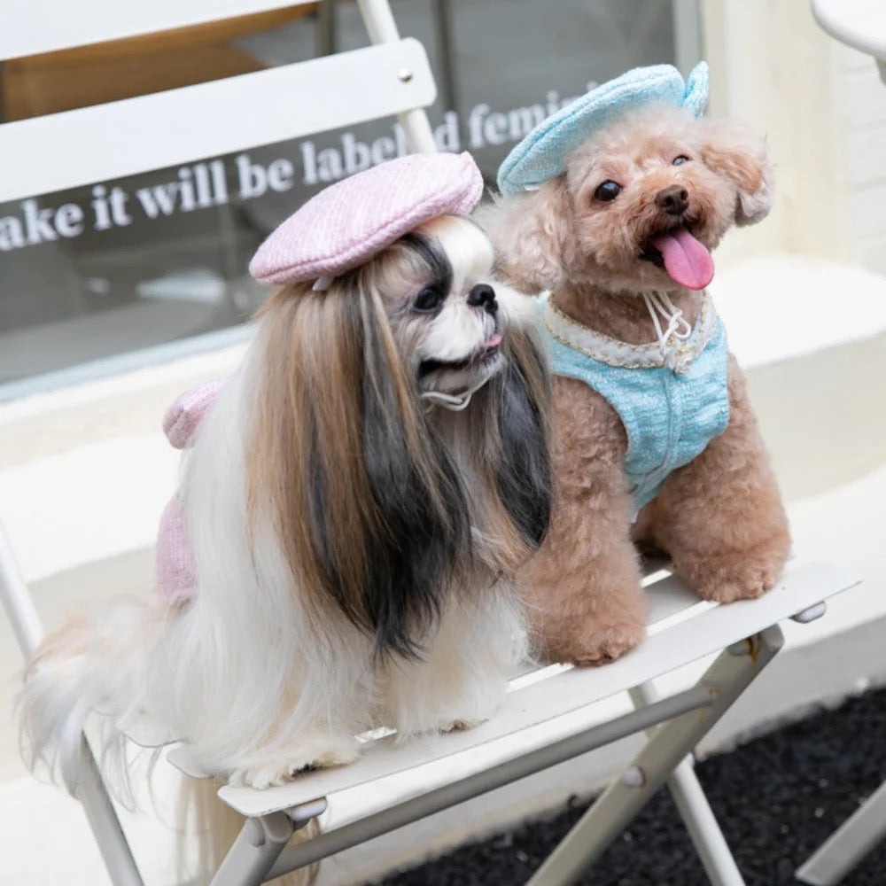 Paris Dog Dress & Hat Set – Elegant Outfit for Dogs