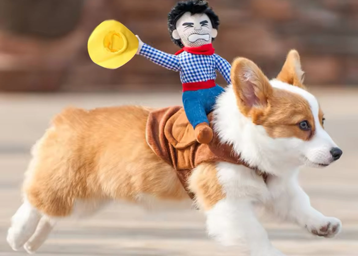 Cowboy Halloween Costume for Dogs – Western Dog Costume