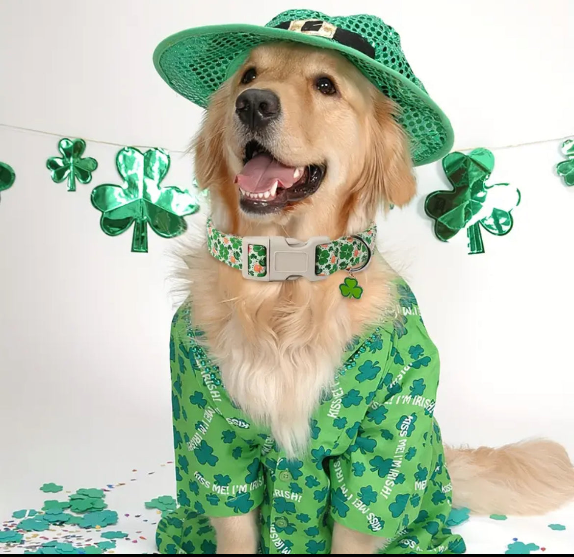 Saint Patrick’s Day Collar – Festive Luxury Dog Collar