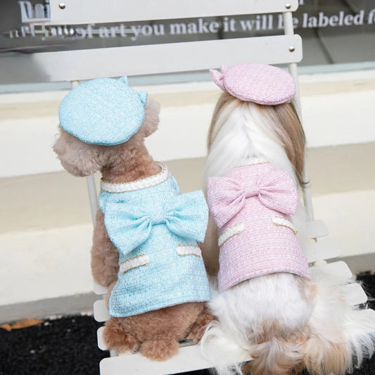 Paris Dog Dress & Hat Set – Elegant Outfit for Dogs
