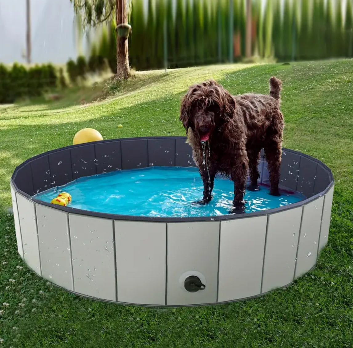 Collapsible Dog Pool | Portable Dog Pool