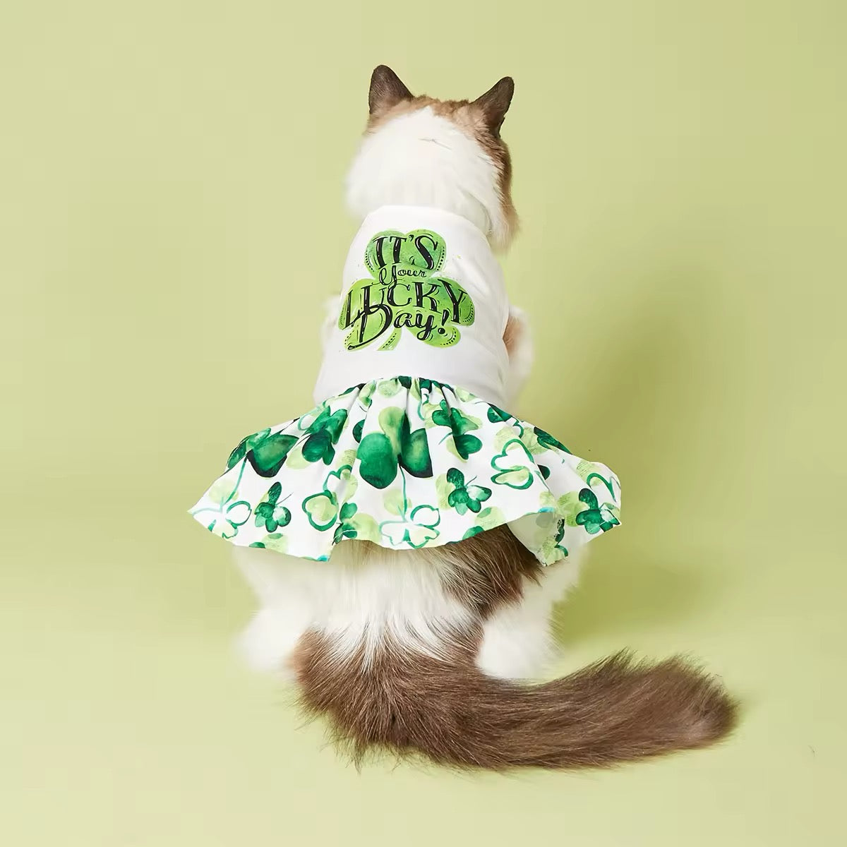It’s Your Lucky Day Dress – Saint Patrick’s Day Dog Dress
