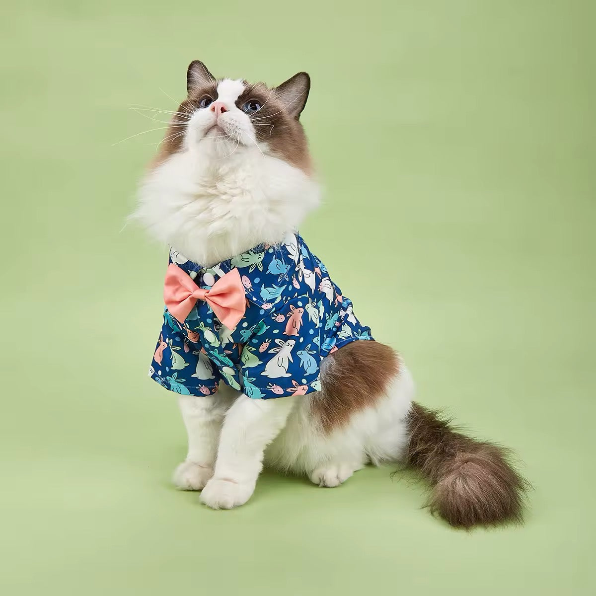 Easter Bunny Shirt – Festive Luxury Dog Shirt