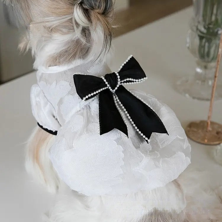 Chewnel Dress for Dogs – Elegant Dog Dress Outfit
