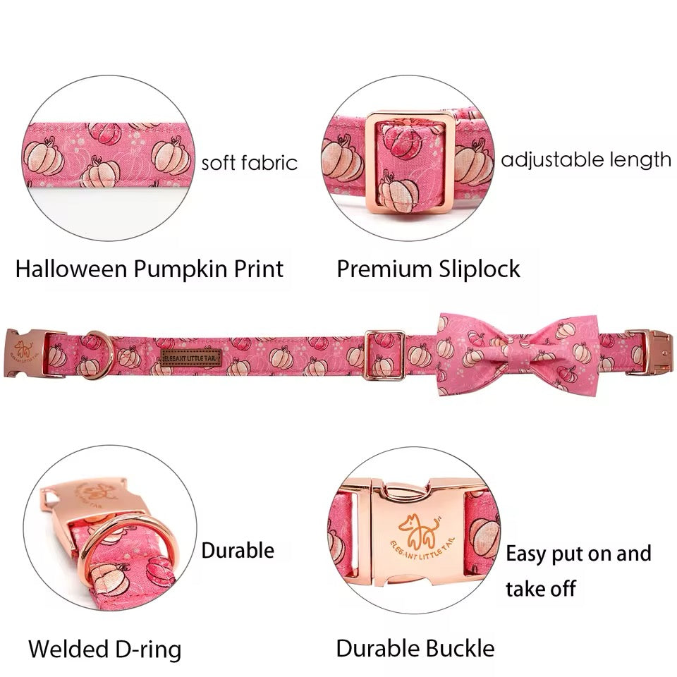 Pumpkin Dog Collar | Dog Halloween Collar