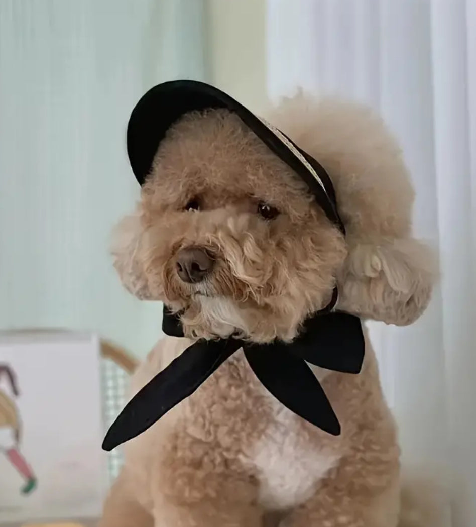 Theresa Dog Straw Hat | Dog Sun Hat