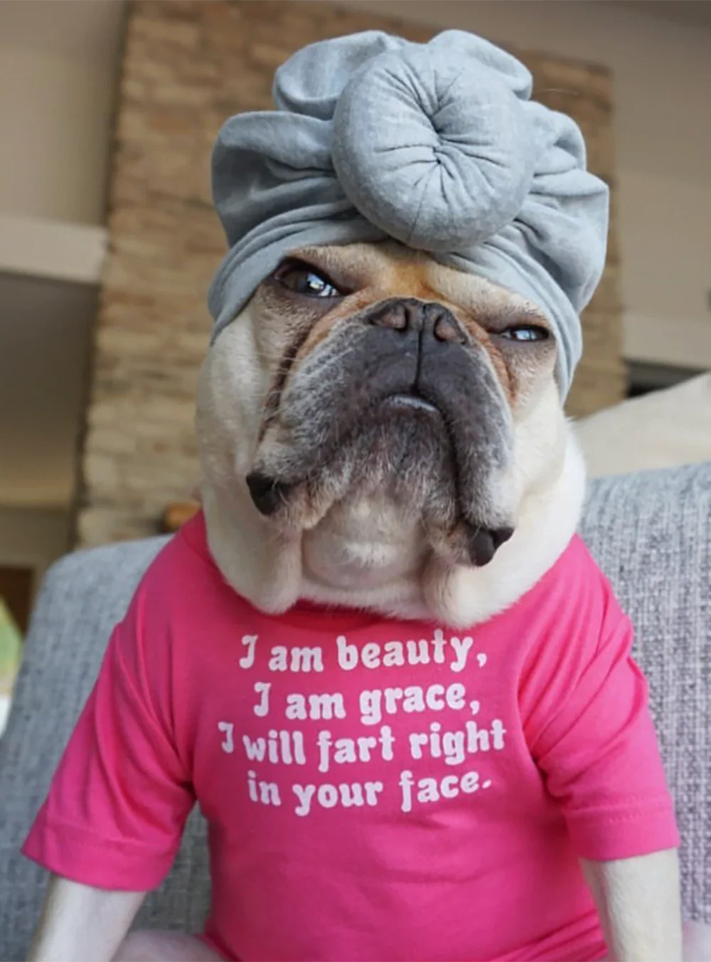 Funny Dog Tee Pink | I Am Beauty I Am Grace Dog Shirt