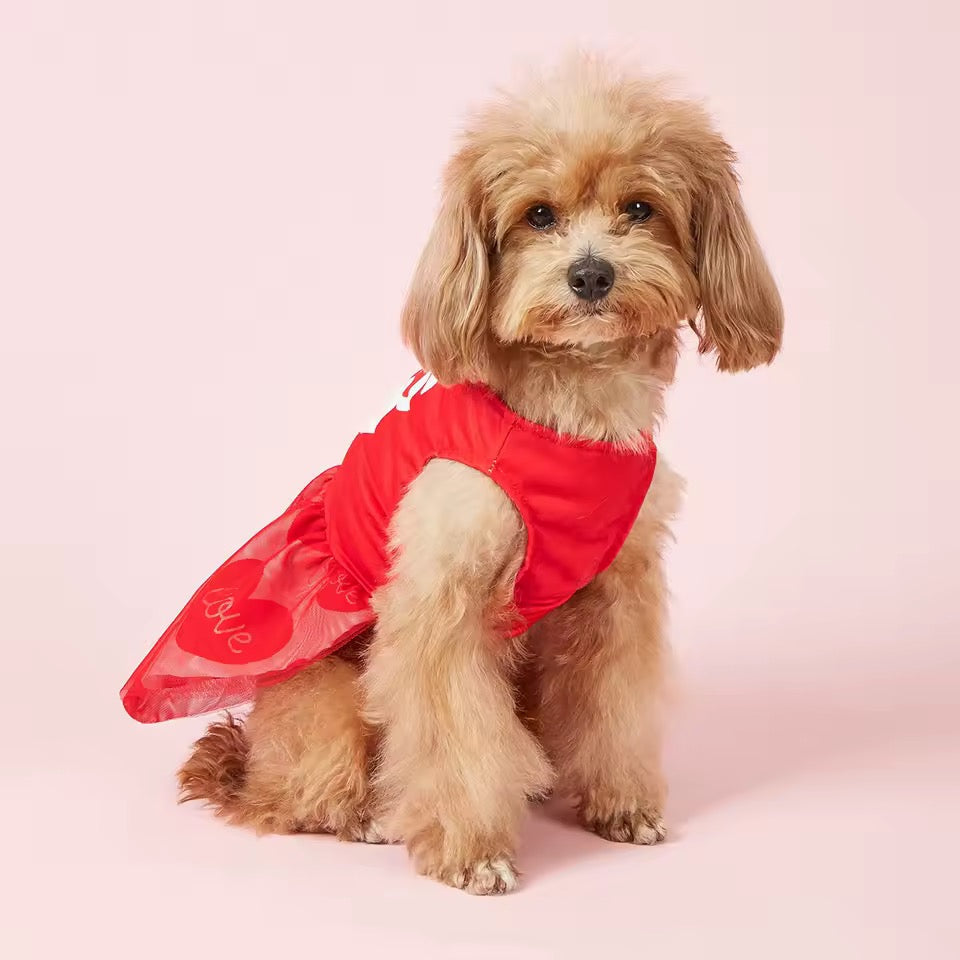 25¢ Kisses Valentine Dog Dress – Red Heart Puppy Outfit