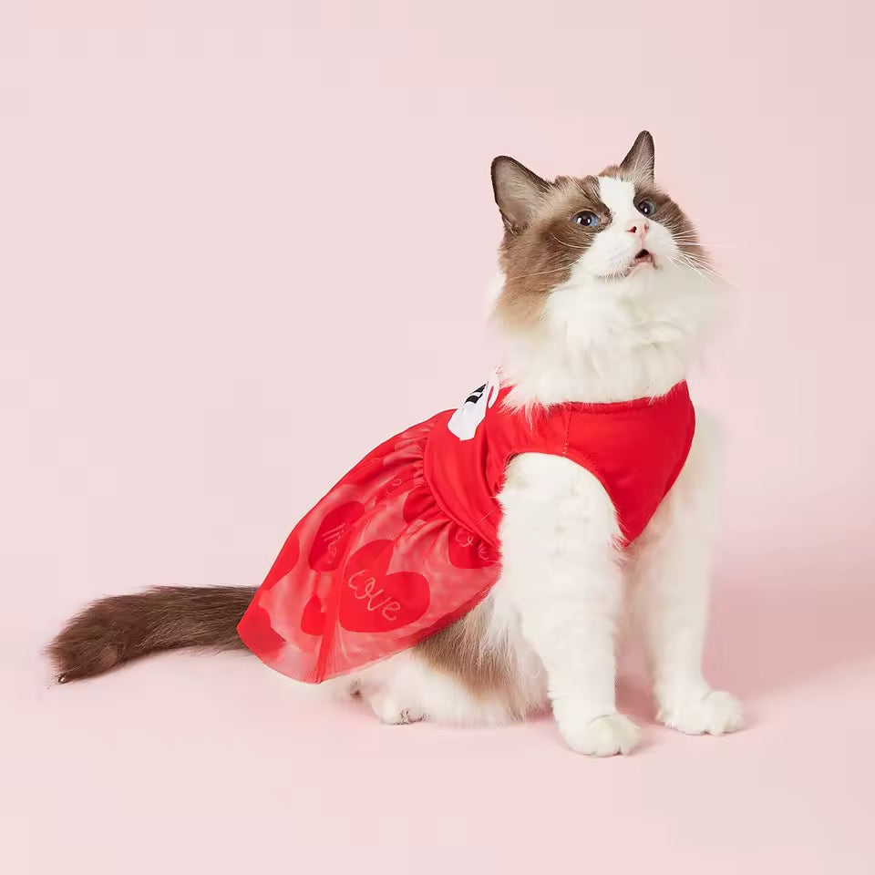 25¢ Kisses Valentine Dog Dress – Red Heart Puppy Outfit