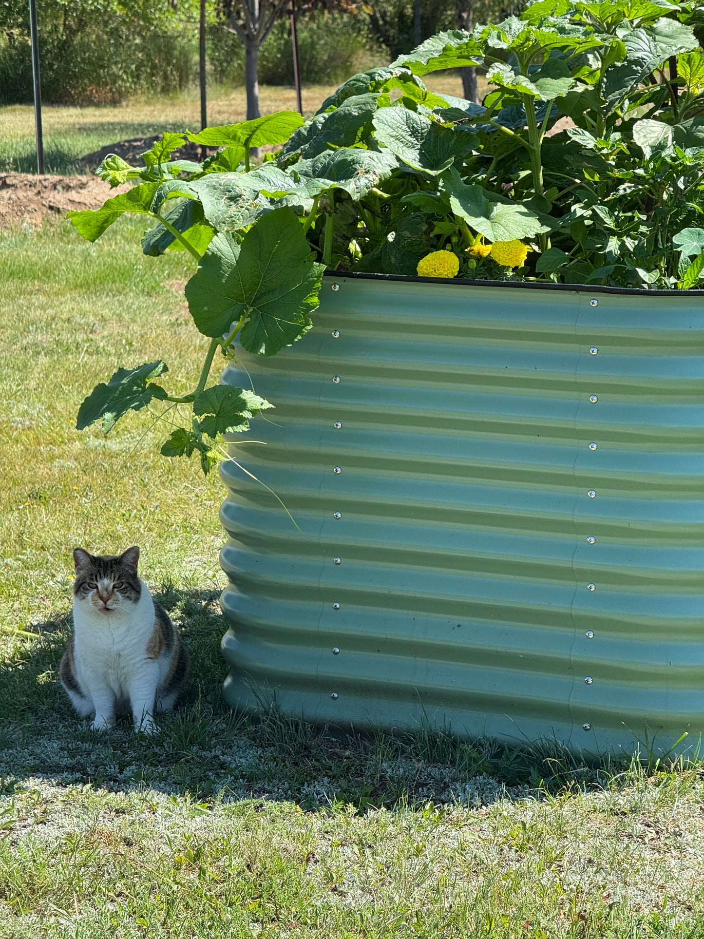 32" Tall Garden Bed Kit 9 in 1