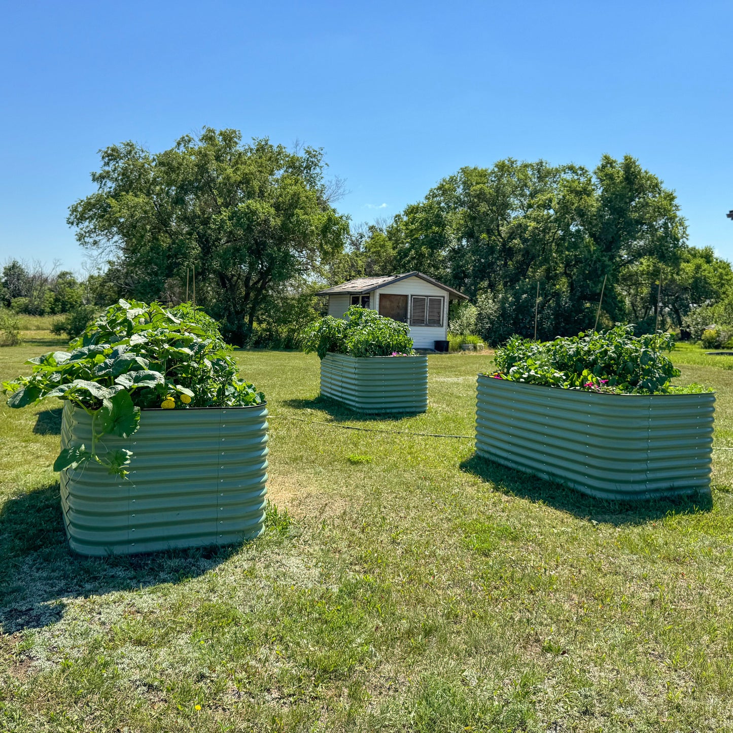 32" Tall Garden Bed Kit 9 in 1