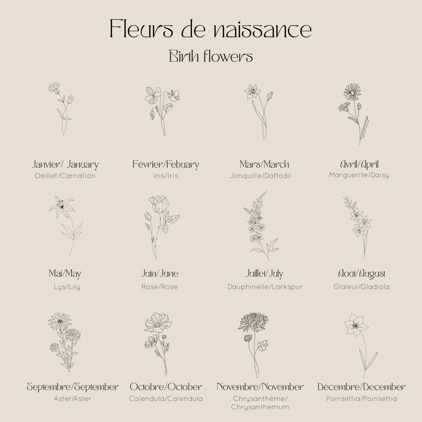 Les Fleurs - Novembre