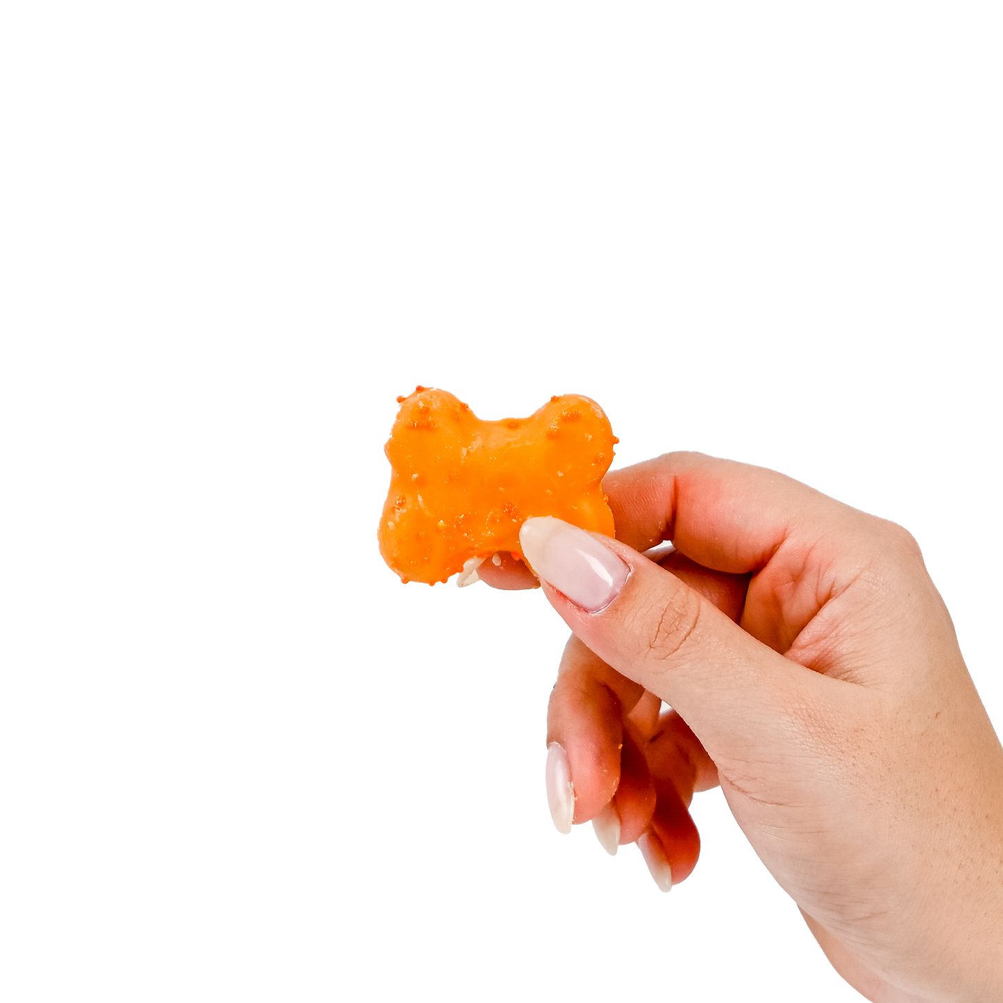 Orange Bag O' Endless Bones
