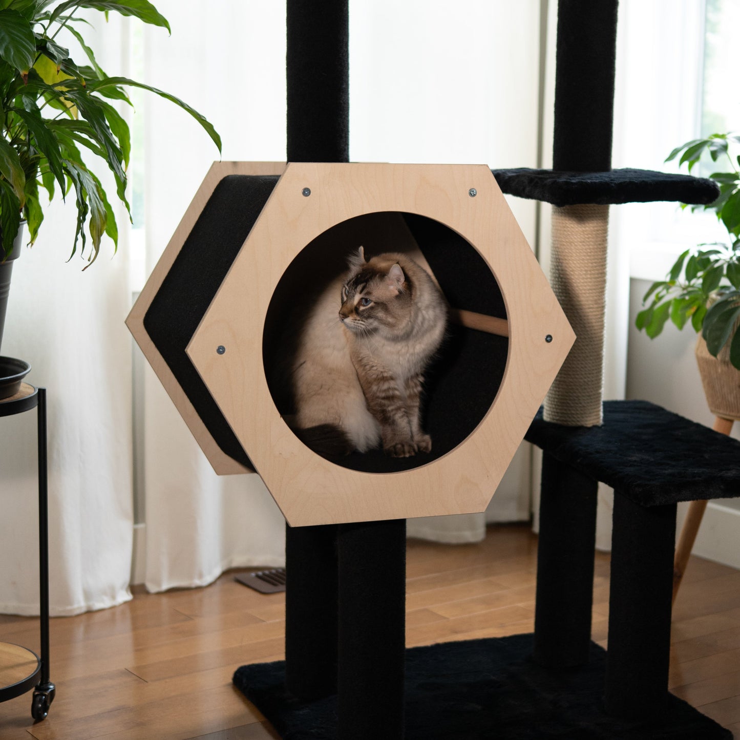 Hexagon House - 4-Level Cat Tree