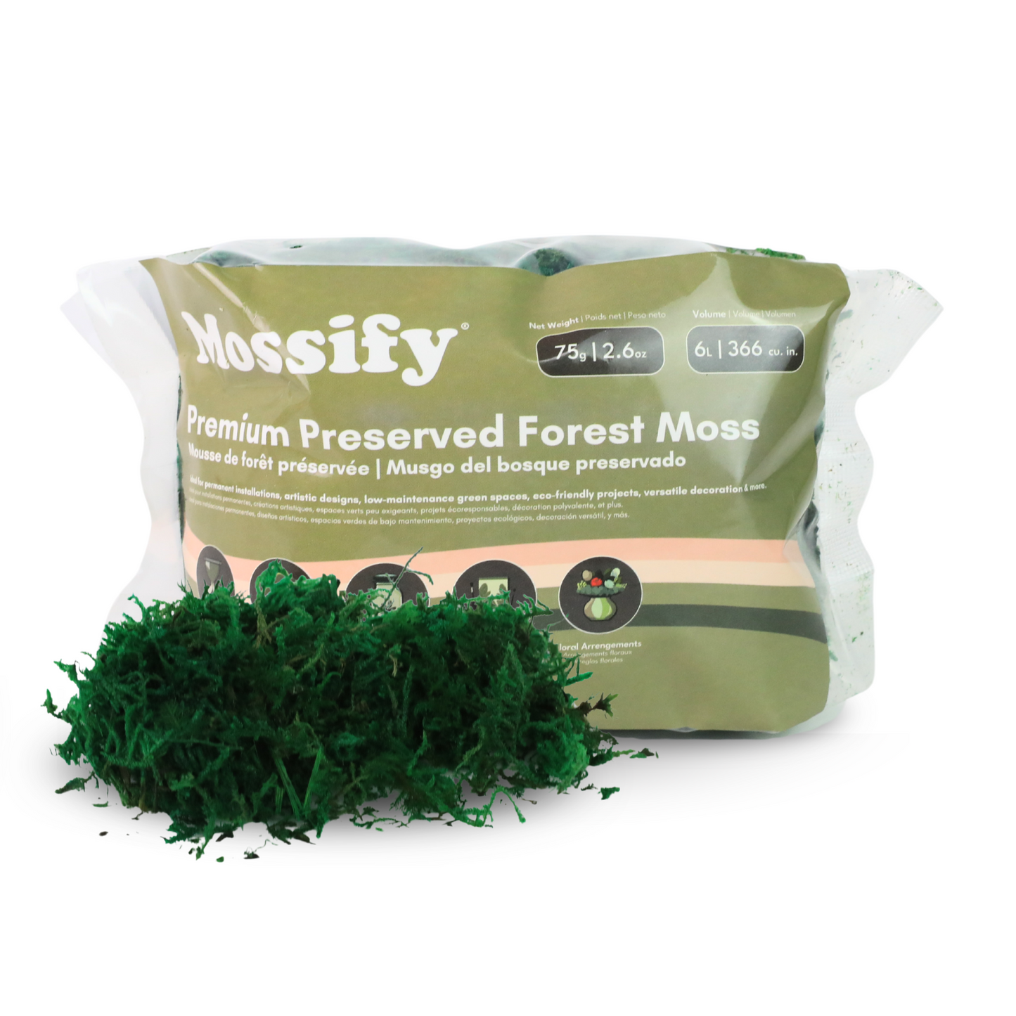 Premium Preserved Forest Moss