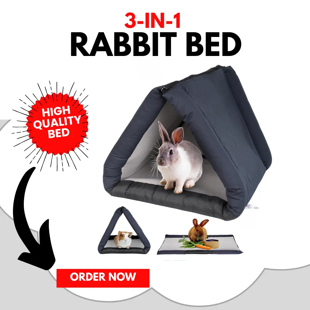 The "No-Trap" Convertible Rabbit Bed & Tunnel
