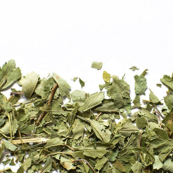 Aubépine, feuille