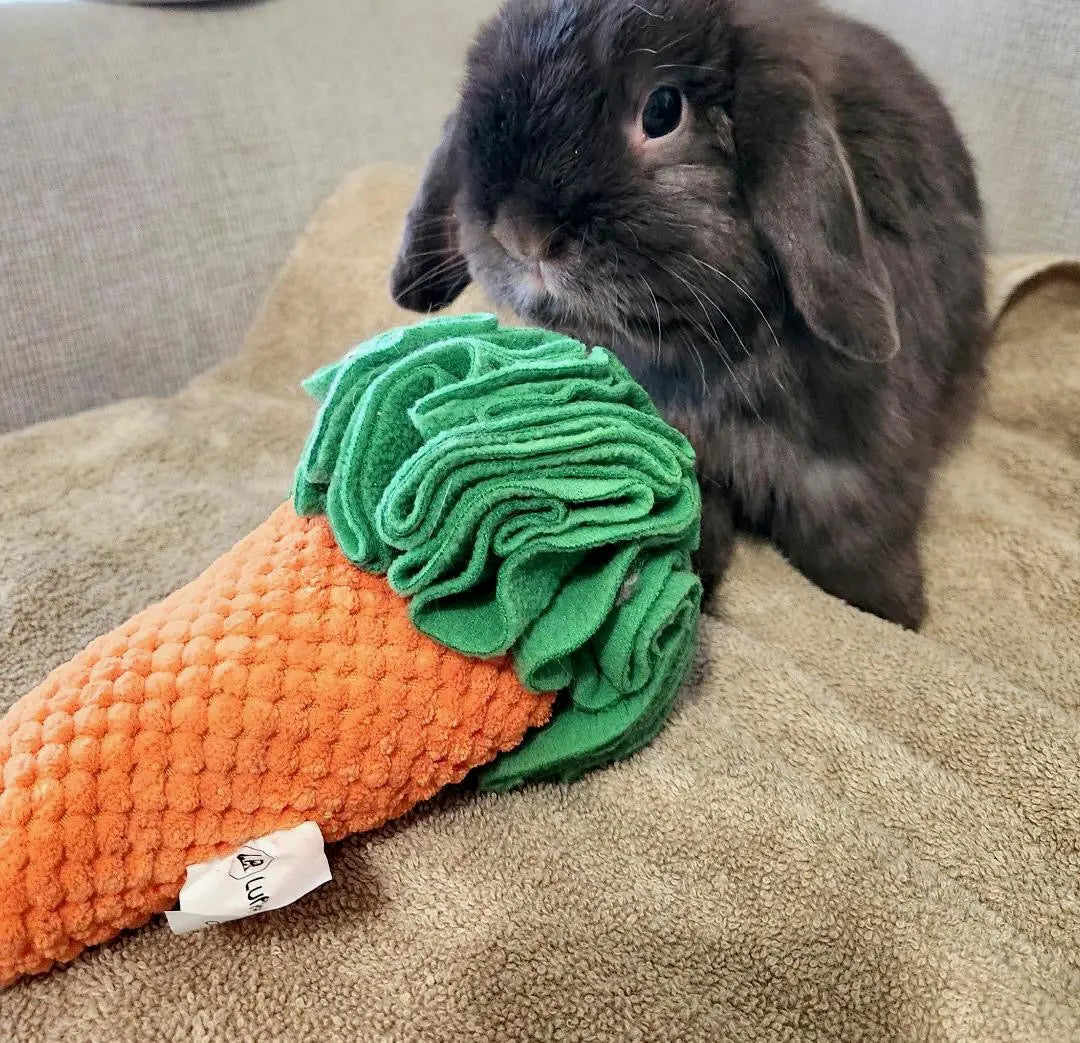 Carrot Sniff Toy - Squeaky & Plush Snuffle Mat for Dogs & Small Pets
