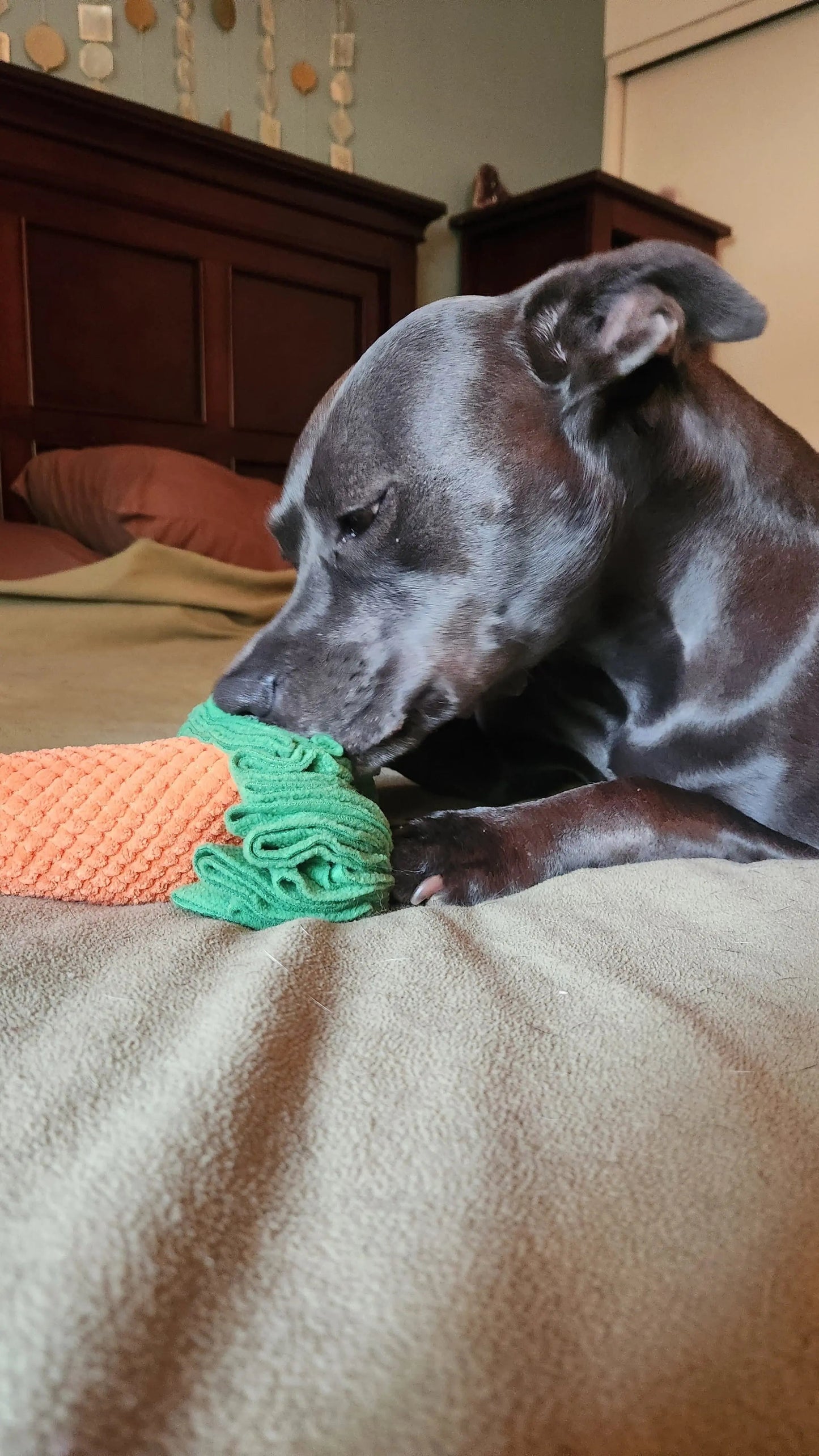 Carrot Sniff Toy - Squeaky & Plush Snuffle Mat for Dogs & Small Pets