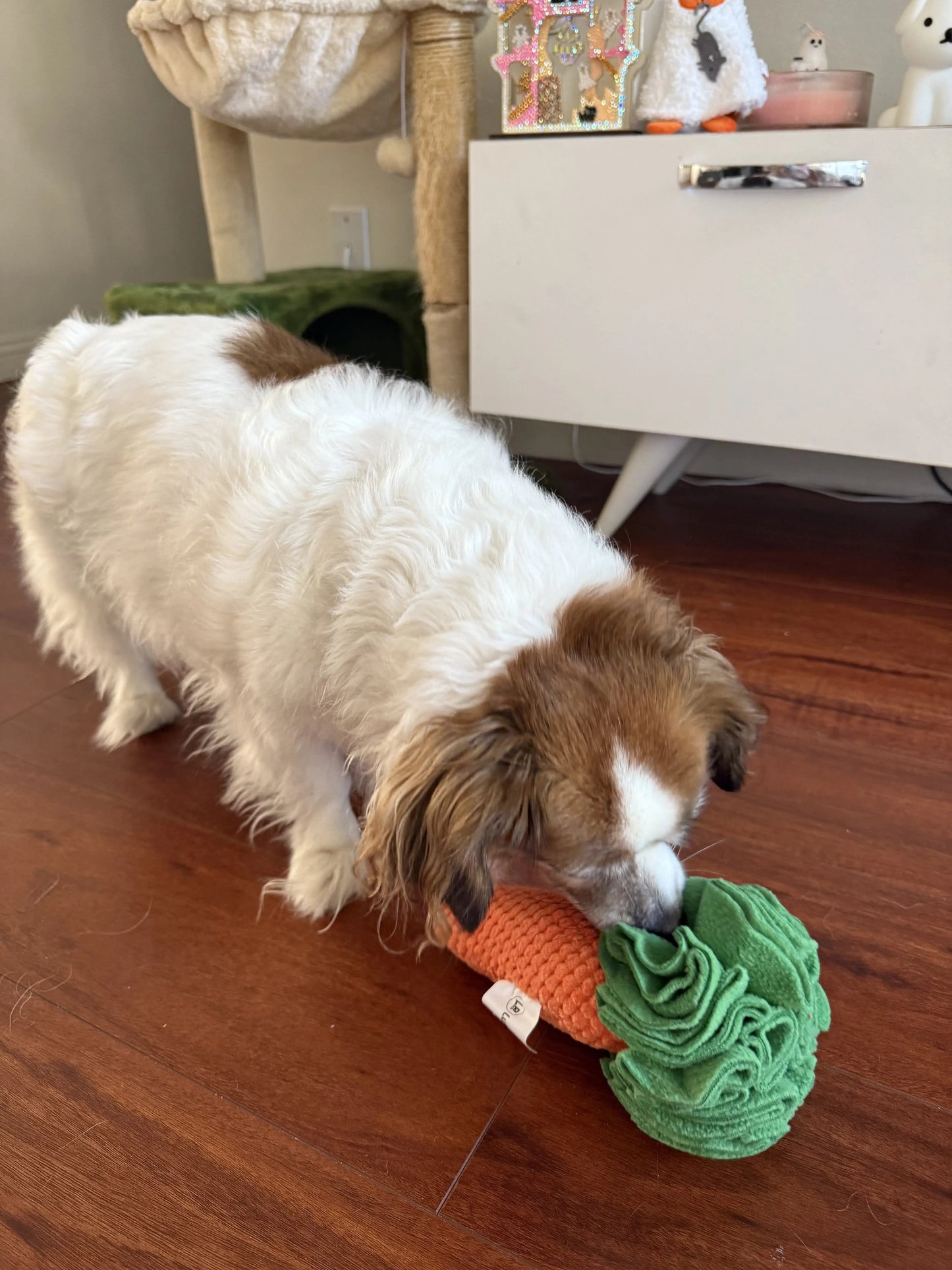 Carrot Sniff Toy - Squeaky & Plush Snuffle Mat for Dogs & Small Pets