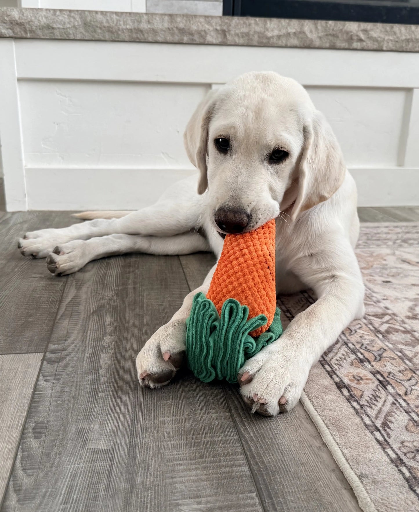 Carrot Sniff Toy - Squeaky & Plush Snuffle Mat for Dogs & Small Pets