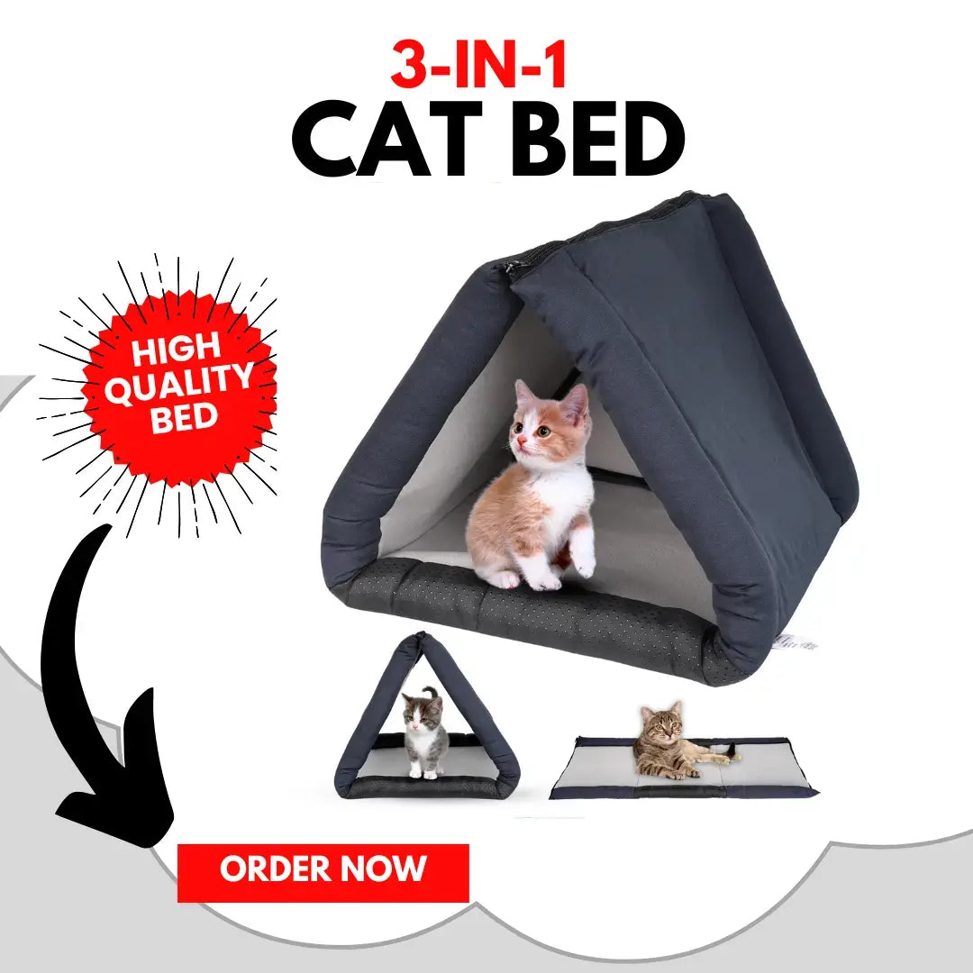 The "No-Trap" Convertible Rabbit Bed & Tunnel