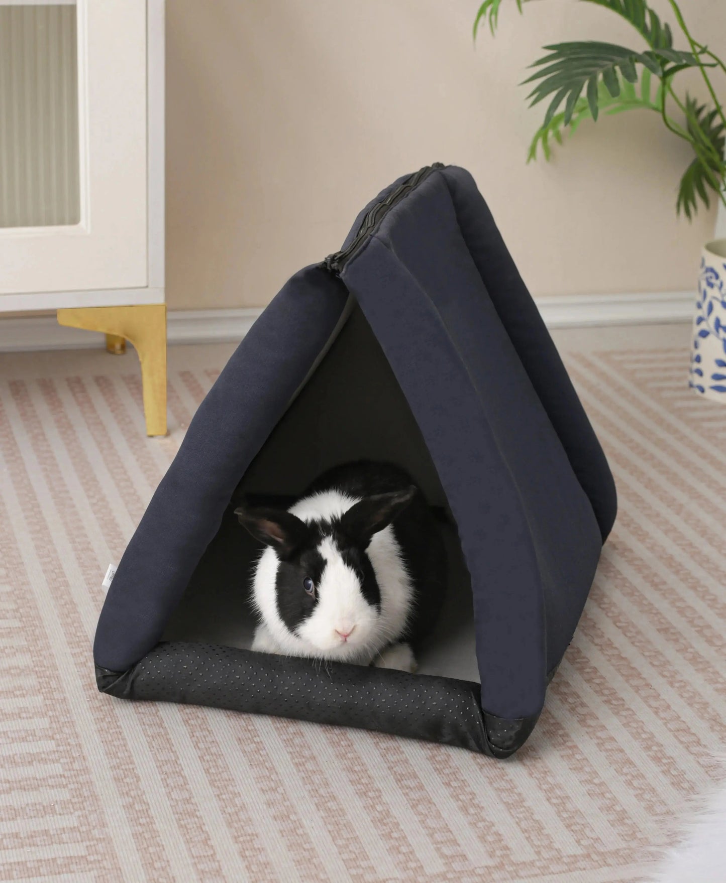 The "No-Trap" Convertible Rabbit Bed & Tunnel