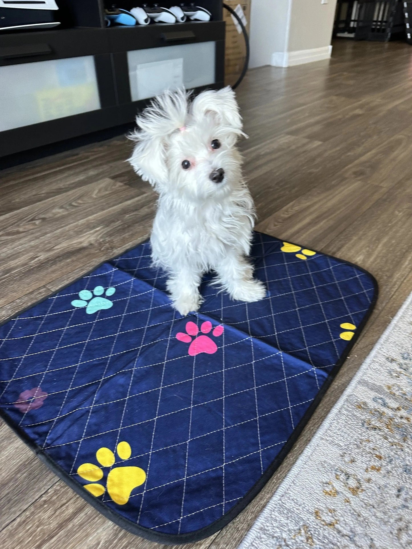 Washable Dog Pee Pads - Super Absorbent & Leakproof Puppy Pads