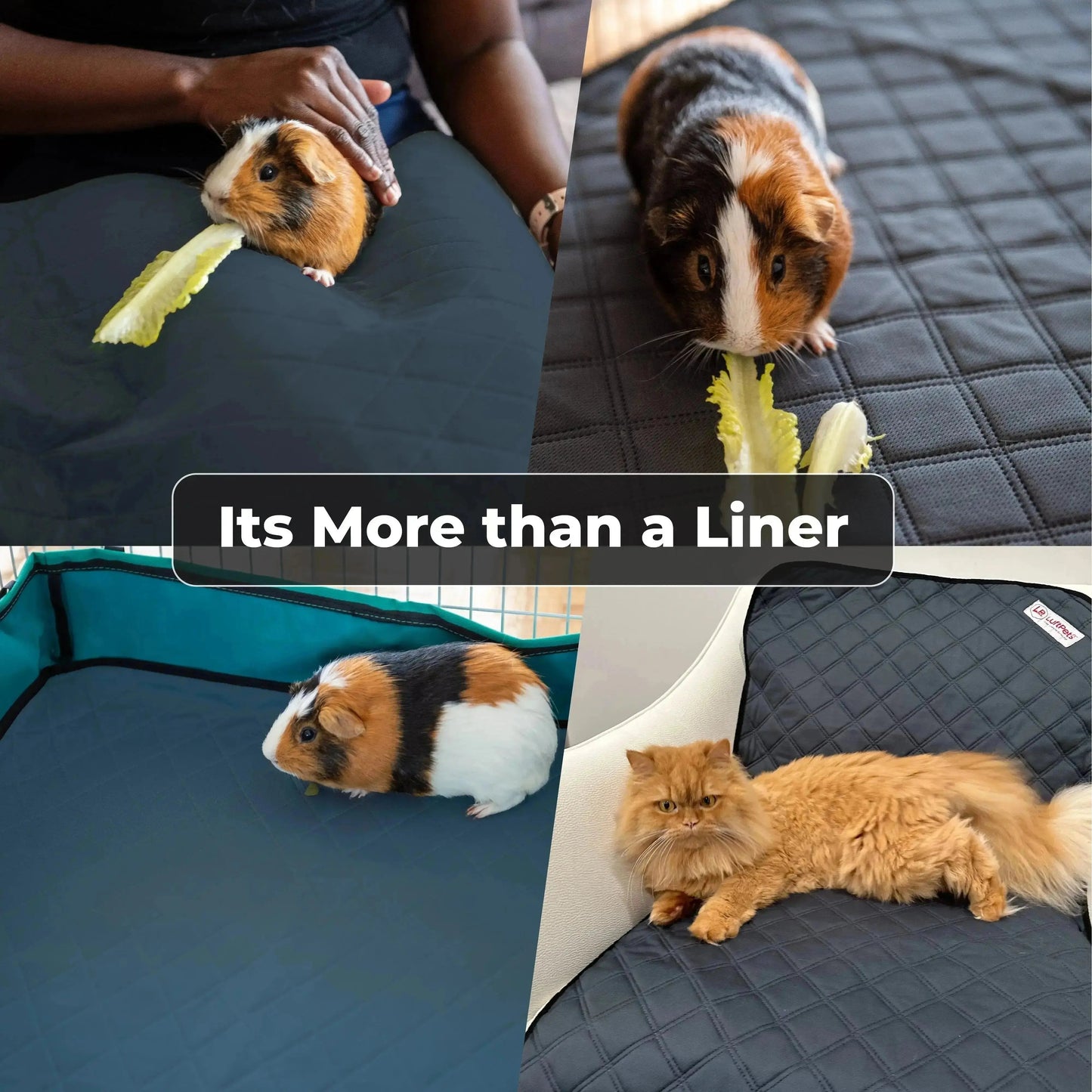Rabbit & Guinea Pig Cage Liners for MidWest & C&C 2x4 Cages - Washable & Absorbent- Gray