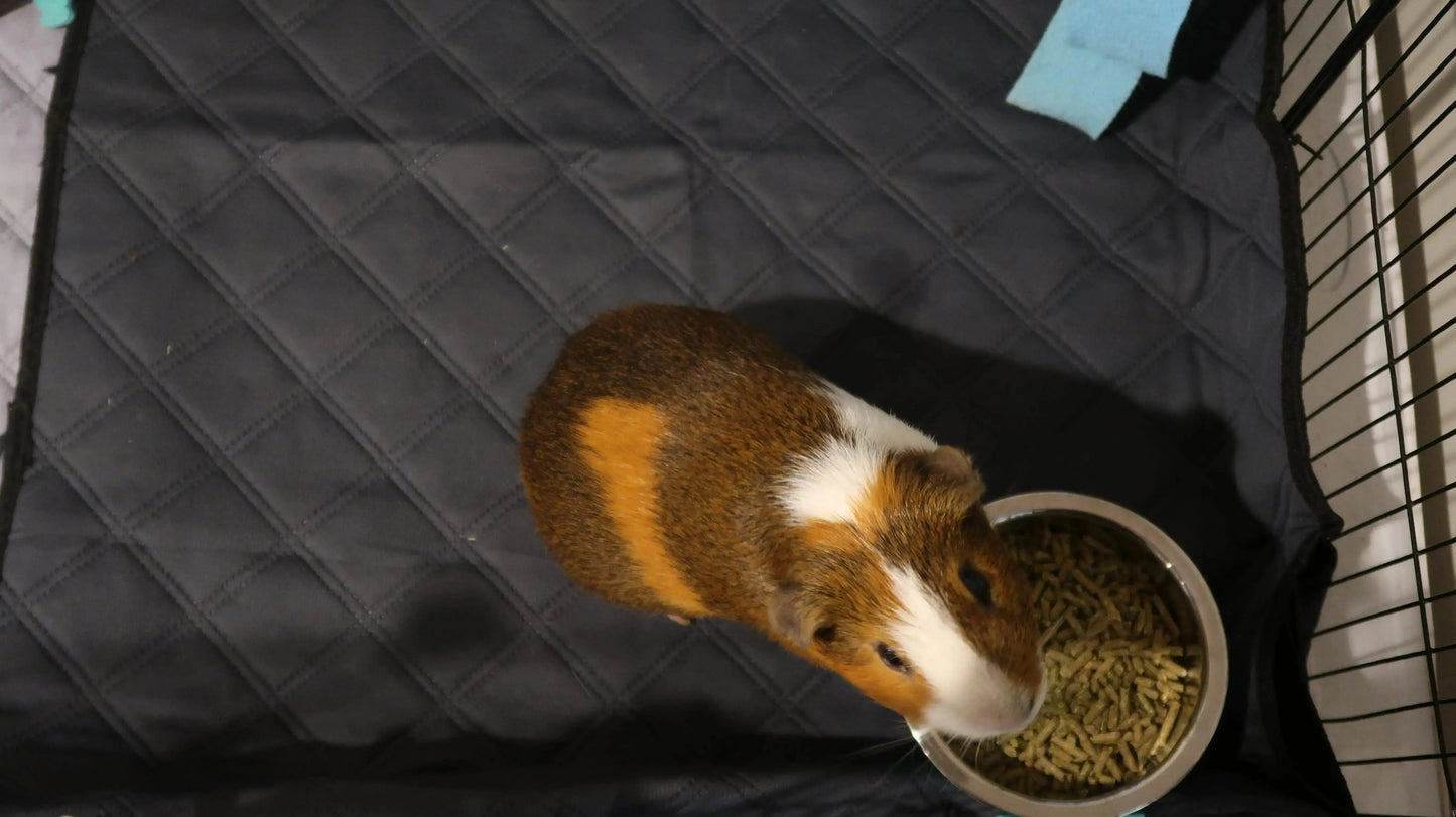 Rabbit & Guinea Pig Cage Liners for MidWest & C&C 2x4 Cages - Washable & Absorbent- Gray
