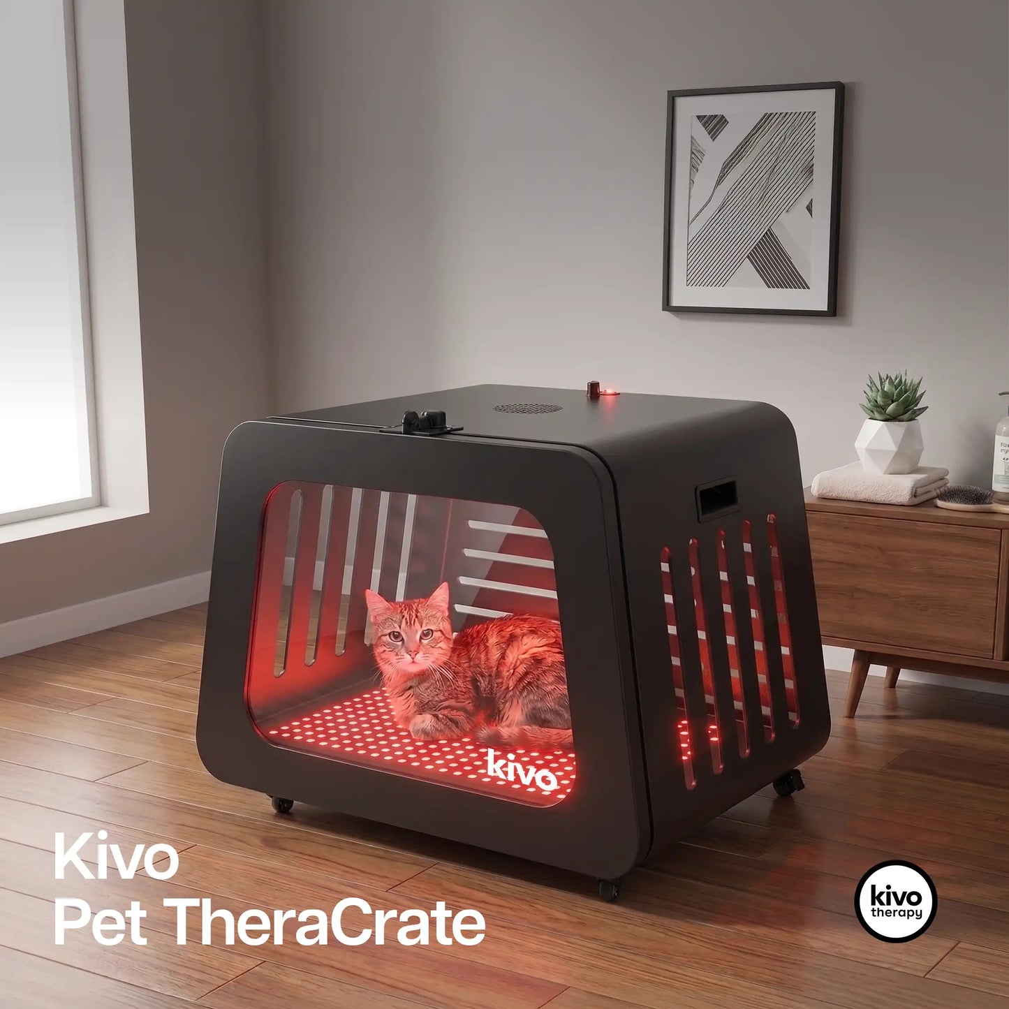 Kivo TheraCrate for Pets