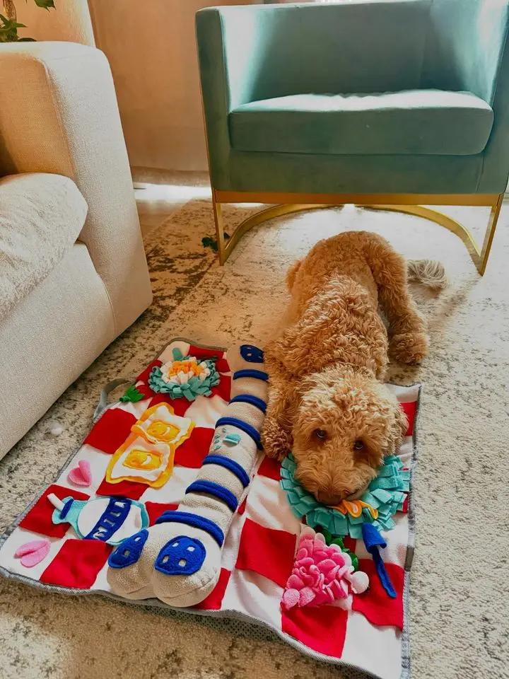 Squeaky Bone Snuffle Mat for Dogs – Interactive Foraging Fun, 24"