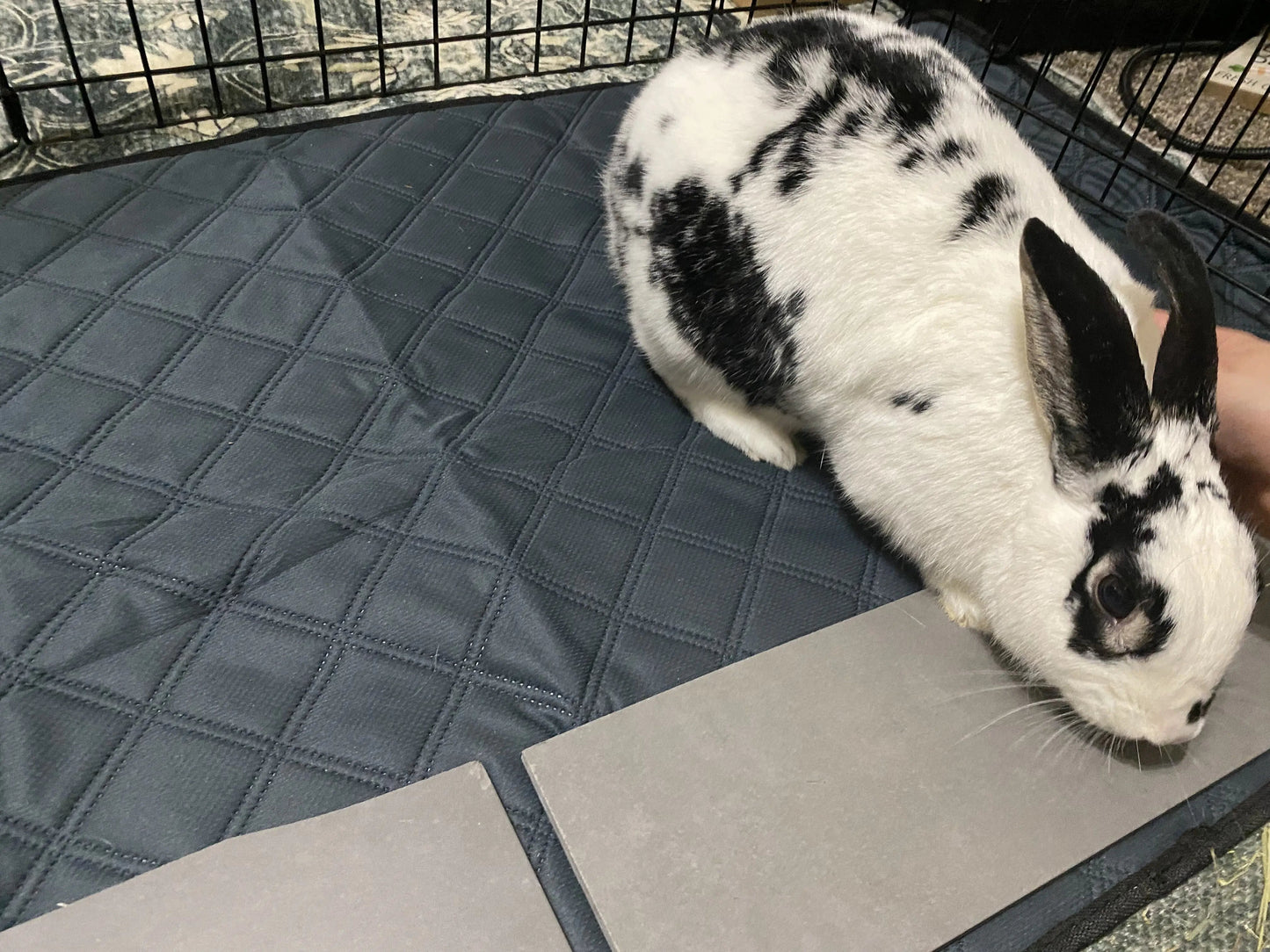 Reusable Rabbit & Guinea Pig Cage Liners  -5-Pcs - for Midwest & C&C 2x4