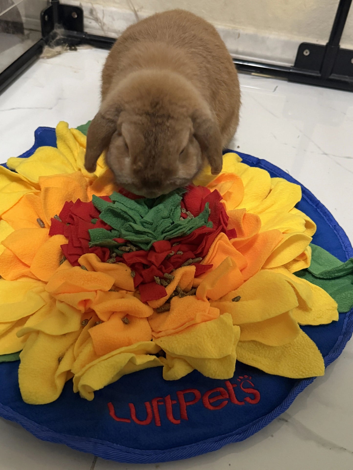 Carrot Sniff Toy - Squeaky & Plush Snuffle Mat for Dogs & Small Pets
