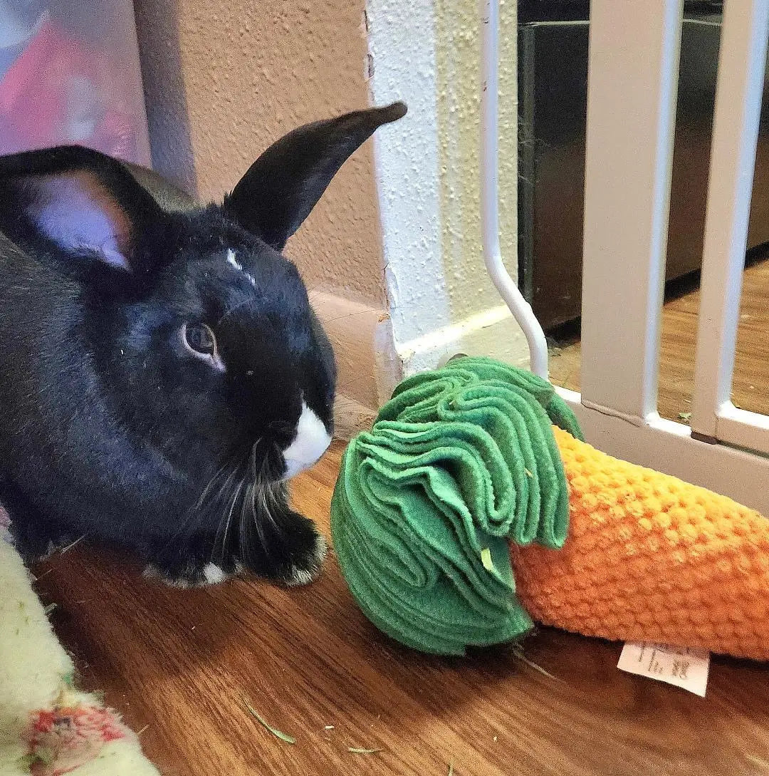 Carrot Sniff Toy - Squeaky & Plush Snuffle Mat for Dogs & Small Pets