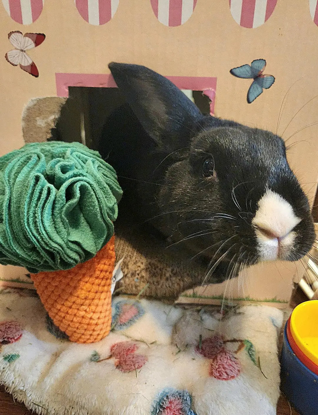 Carrot Sniff Toy - Squeaky & Plush Snuffle Mat for Dogs & Small Pets
