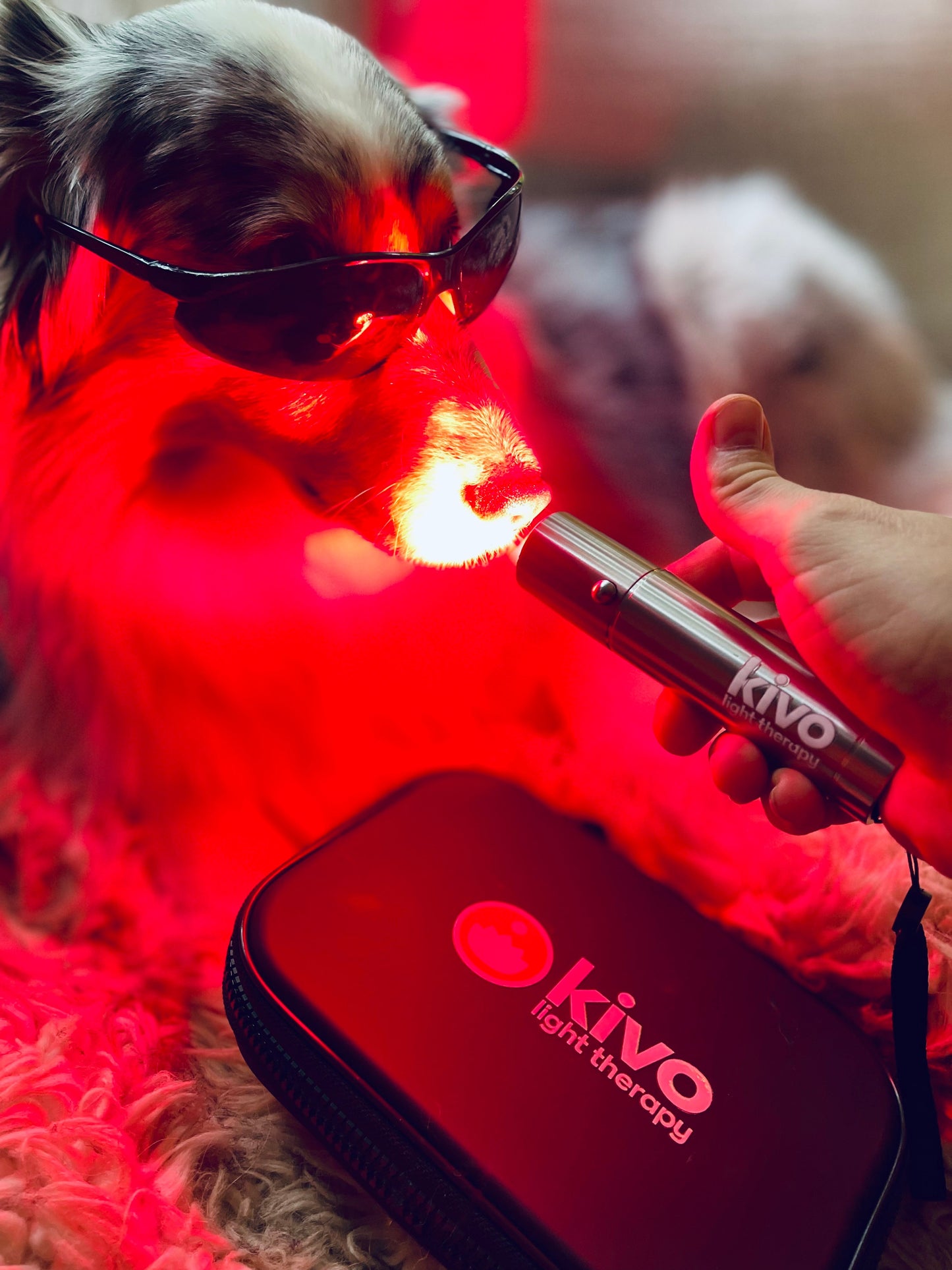 Kivo Elite Red Light Therapy Flashlight